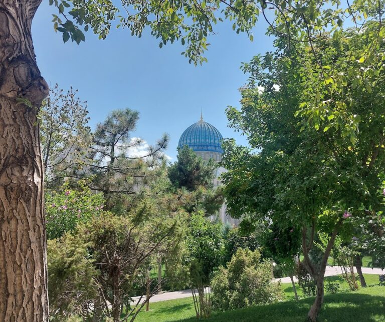 Scopri di più sull'articolo Uzbekistory